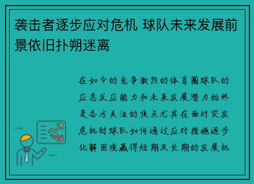 袭击者逐步应对危机 球队未来发展前景依旧扑朔迷离