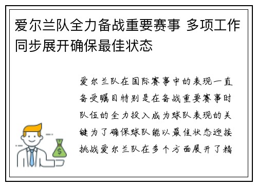 爱尔兰队全力备战重要赛事 多项工作同步展开确保最佳状态