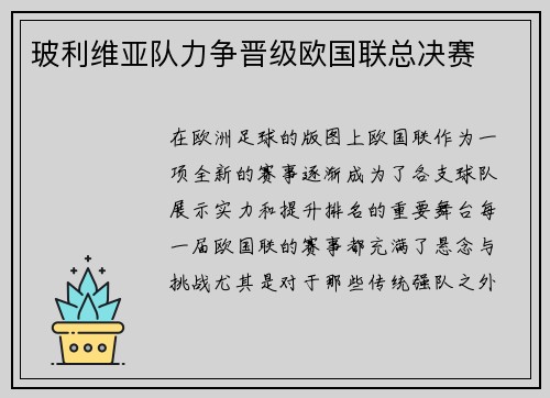 玻利维亚队力争晋级欧国联总决赛